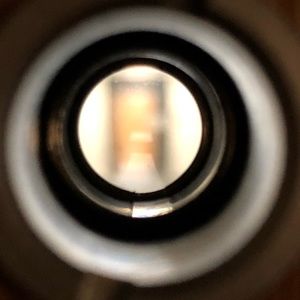 Meet your Posher, Carter